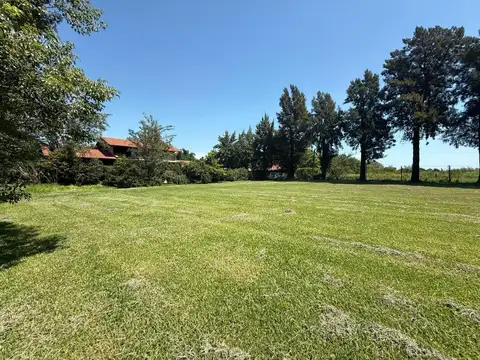 Terreno en Venta 40  mts Fondo