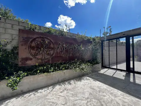 Las Amapolas al 1000