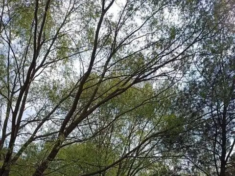 Terreno en Venta en Haras La Amanecida, USD 45.000