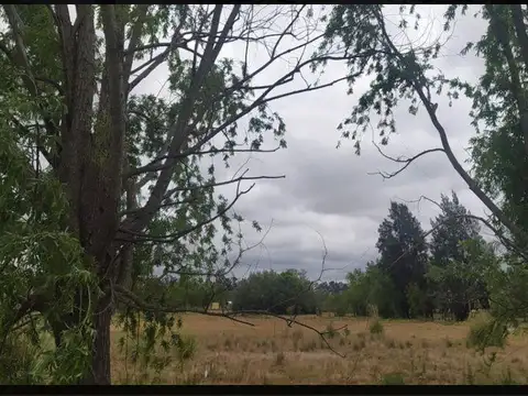 Terreno en Venta de 3300,0 m2