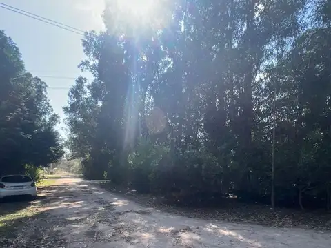 Terreno en Venta 21  mts Fondo