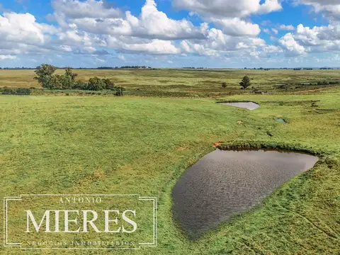 Campo en venta de 25 ha, puntas de José Ignacio, Maldonado Uruguay.