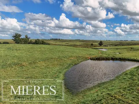 Campo en venta de 25 ha, puntas de José Ignacio, Maldonado Uruguay.