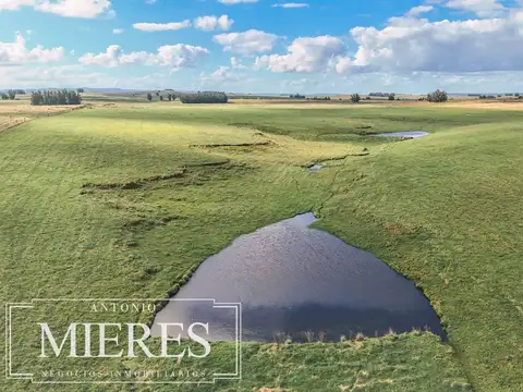 Campo en venta de 25 ha, puntas de José Ignacio, Maldonado Uruguay.