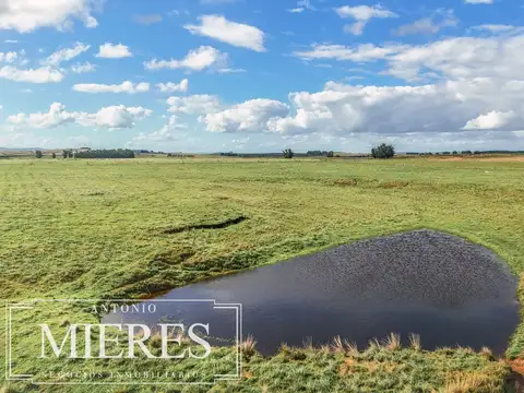 Campo en venta de 25 ha, puntas de José Ignacio, Maldonado Uruguay.