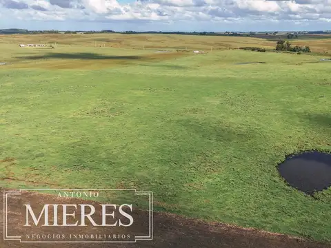Campo en venta de 25 ha, puntas de José Ignacio, Maldonado Uruguay.