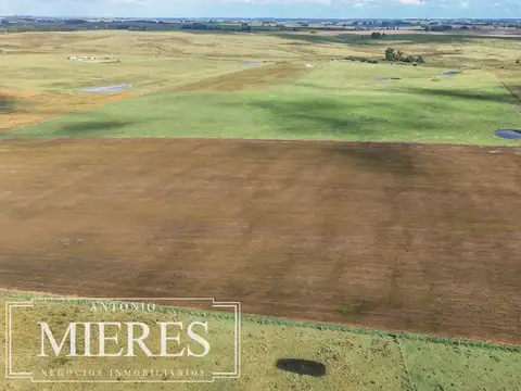 Campo en venta de 25 ha, puntas de José Ignacio, Maldonado Uruguay.