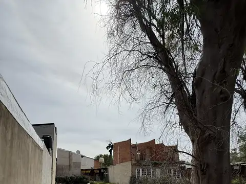 Jose G De Artigas 5212 6500