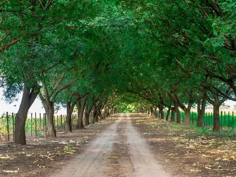 Ruta Provincial N° 32, Chicoana 100