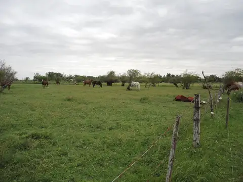 Venta Fraccion de Campo con proyecto para barrio cerrado - Zonificacion Agraria