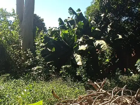 Av. Las Heras c/López y Planes