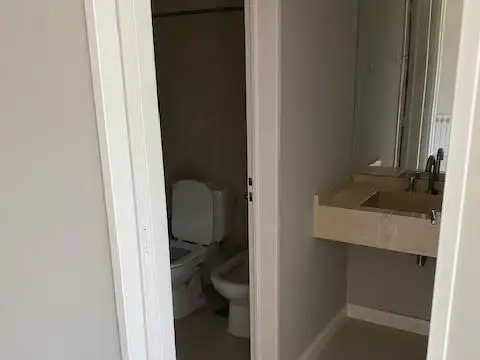 Liquidambar Pilar 100