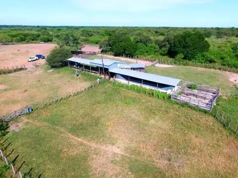 Estancia 46.000 has- Pirane, Formosa