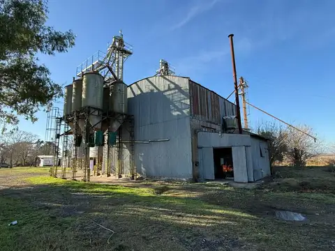 Areco - Alquiler planta alimentos 1ha