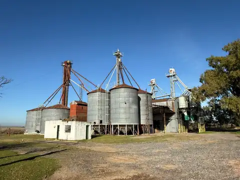 Areco - Alquiler planta alimentos 1ha