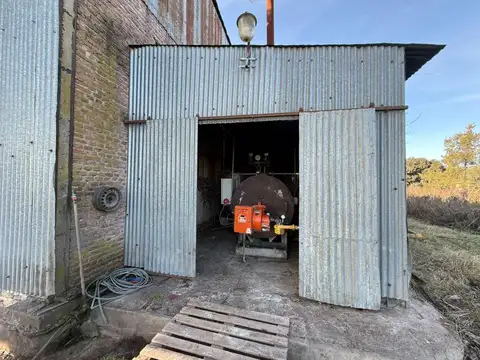 Areco - Alquiler planta alimentos 1ha