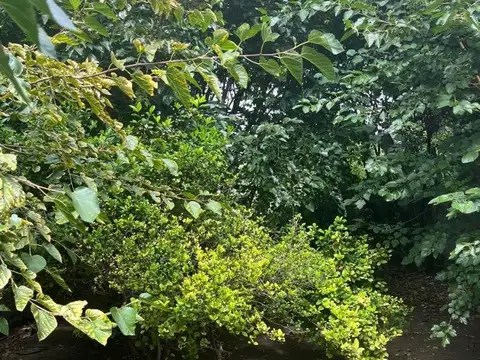 Terreno en Venta de 388,0 m2