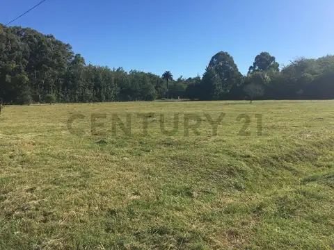 Terreno en Venta de 1312,0 m2