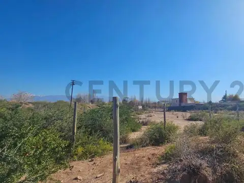 Las Violetas S/N , Piso 0