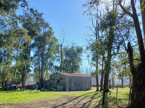 campo agricola sobre ruta 3 azul