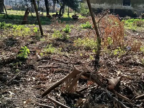 campo agricola sobre ruta 3 azul