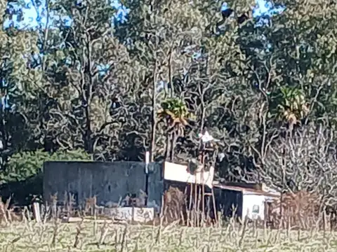 campo agricola sobre ruta 3 azul