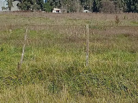 campo agricola sobre ruta 3 azul