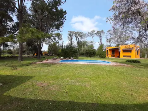 La Chona 500