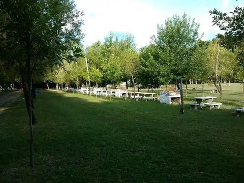 3,10 has camping del arroyo