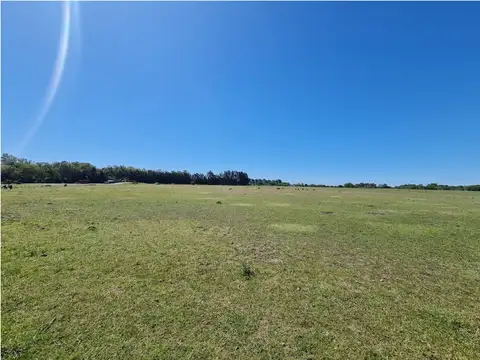 Ruta 3-General Jose Artigas 300