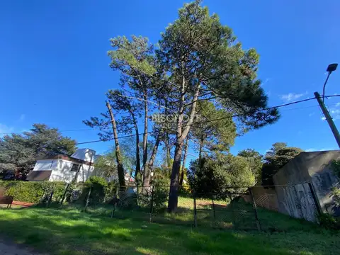 EXCELENTE TERRENO, ZONA CENTRO