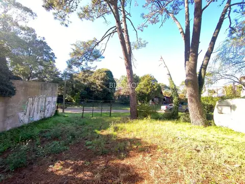 AVENIDA 7 ENTRE PASEOS 109 Y 110