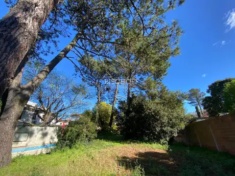 Terreno en Venta en Centro, USD 66.000