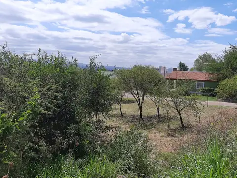 Terreno en Venta 24  mts Fondo