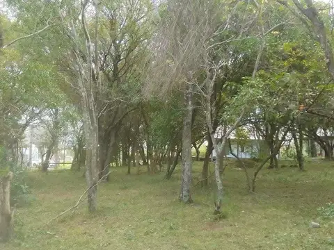 Barrio Costa Mango