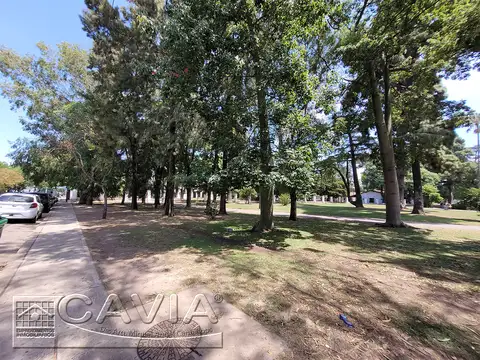 Depto Tipo Casa en Alquiler 40 años