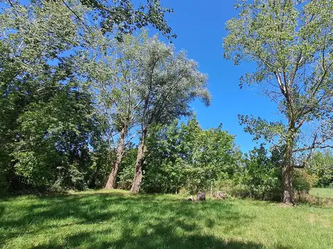 Terreno en Venta 50  mts Fondo