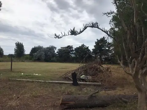 Quinta en Venta en Zarate, USD 180.000