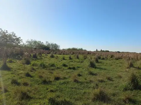 LOTES EN VENTA SOBRE LAGUNA IBERA - IDEAL PARA COMPLEJOS TURISTICOS