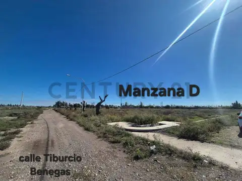 calle Proyectada S/N 100, Piso 0