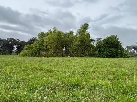 Terreno en Venta de 4600,0 m2