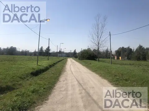 409/139 Y 141 BUONA TERRA