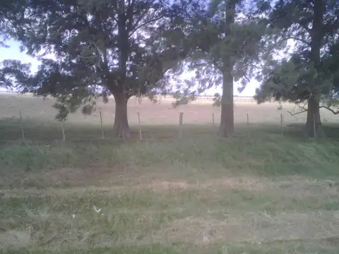 Campo en venta en La Plata Ruta 2 Km 68 - Dacal Bienes Raices