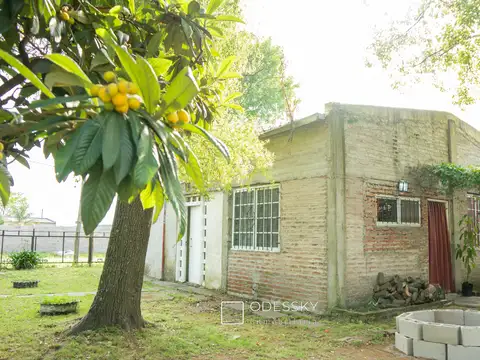 Manuel Dorrego 800