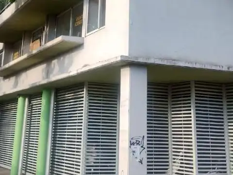 José Ingenieros 800