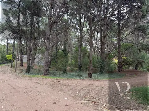 AV. 7 y  Las Orquídeas