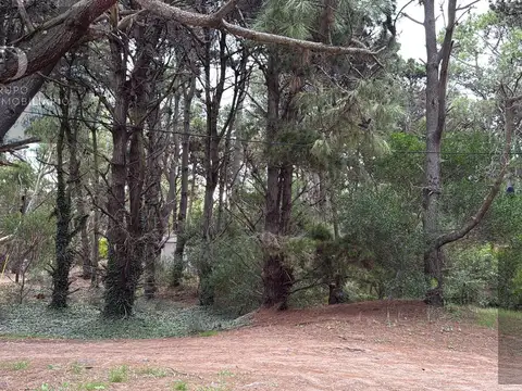 Terreno en Venta en Costa del Este, USD 68.000