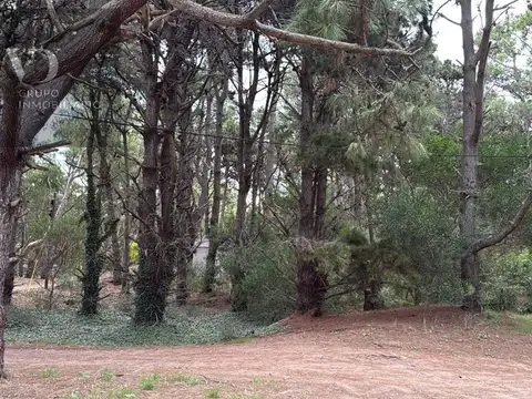 Terreno en Venta de 595,0 m2