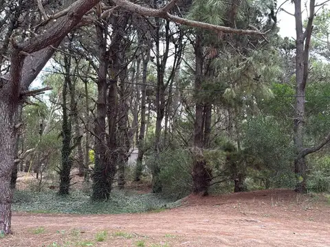 Terreno en Venta de 595,0 m2