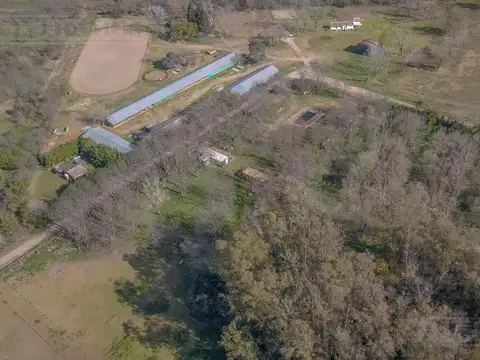Cabo de Hornos y Georgias del Sur